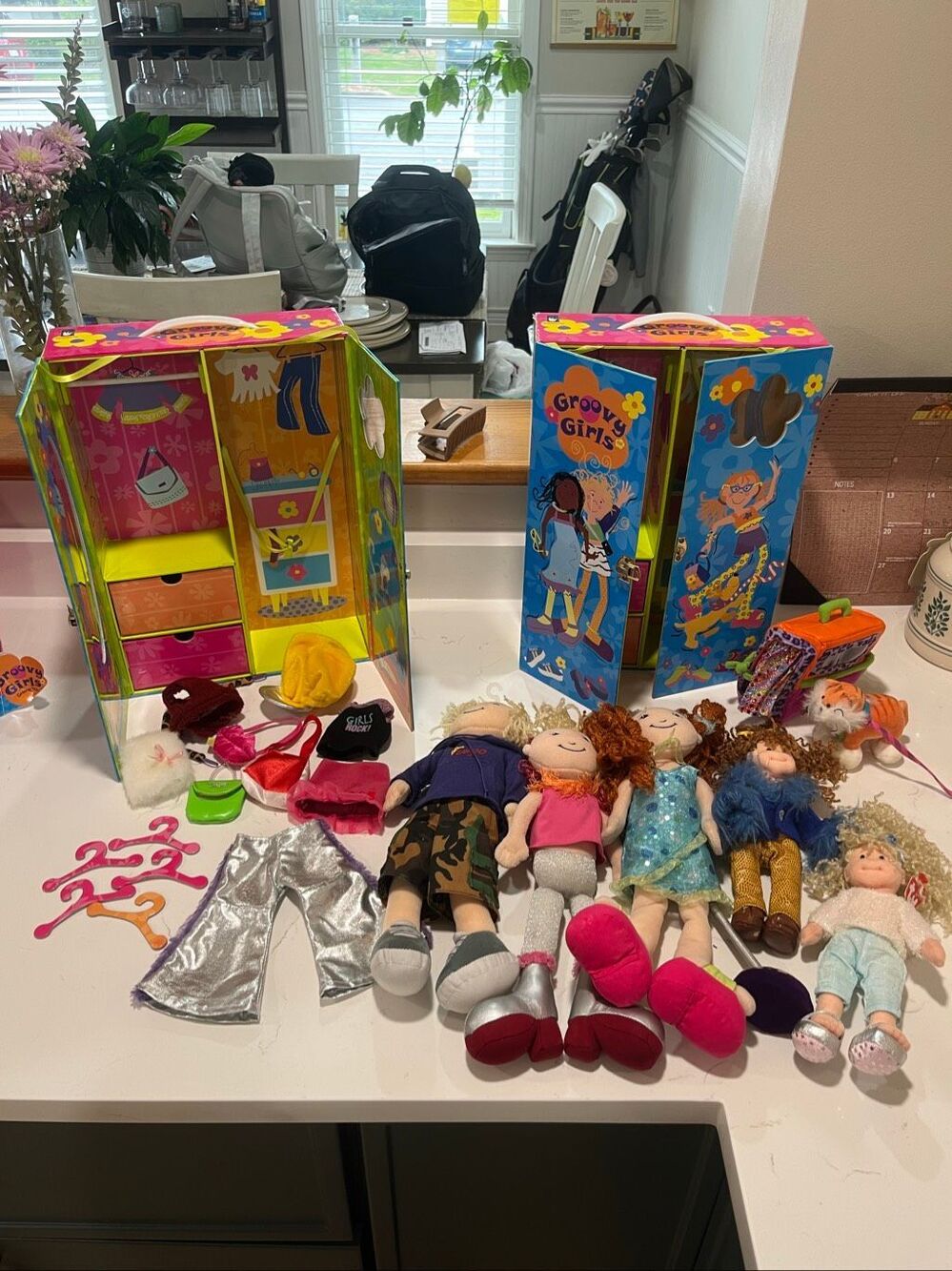 Lot of Groovy Girls + Carrying Cases Outfits Accessories Pet Tiger Cat Manhattan
